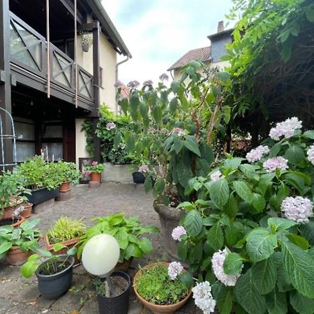 Apartment Gerberbachviertel Weinheim Buitenkant foto